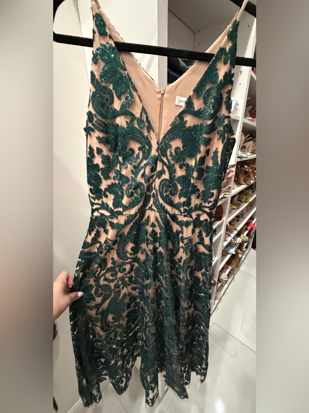 Dress the Population Nude and Emerald Green Embroidered Midi Dress
